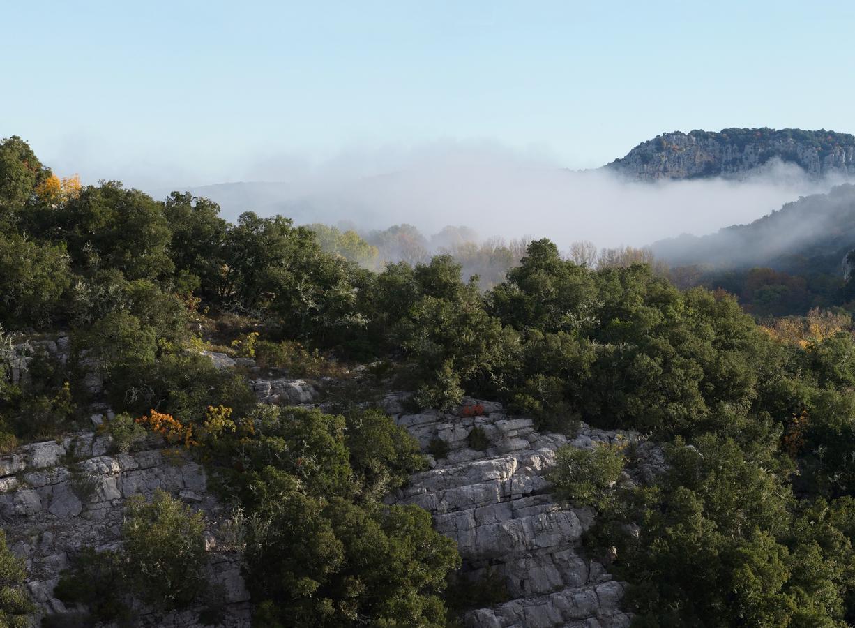 Les Hauts D'Issensac Causse-de-la-Selle Buitenkant foto