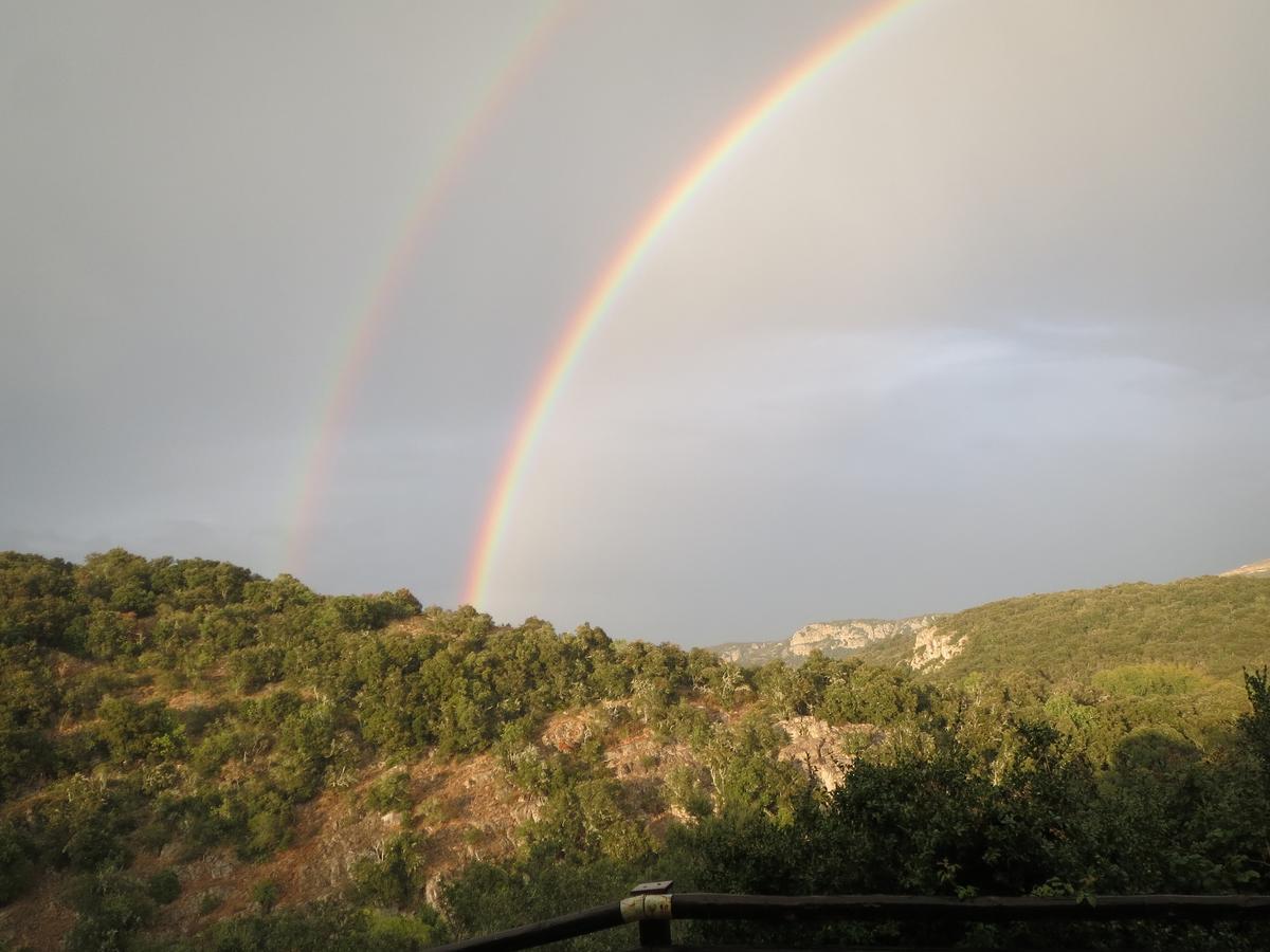 Les Hauts D'Issensac Causse-de-la-Selle Buitenkant foto
