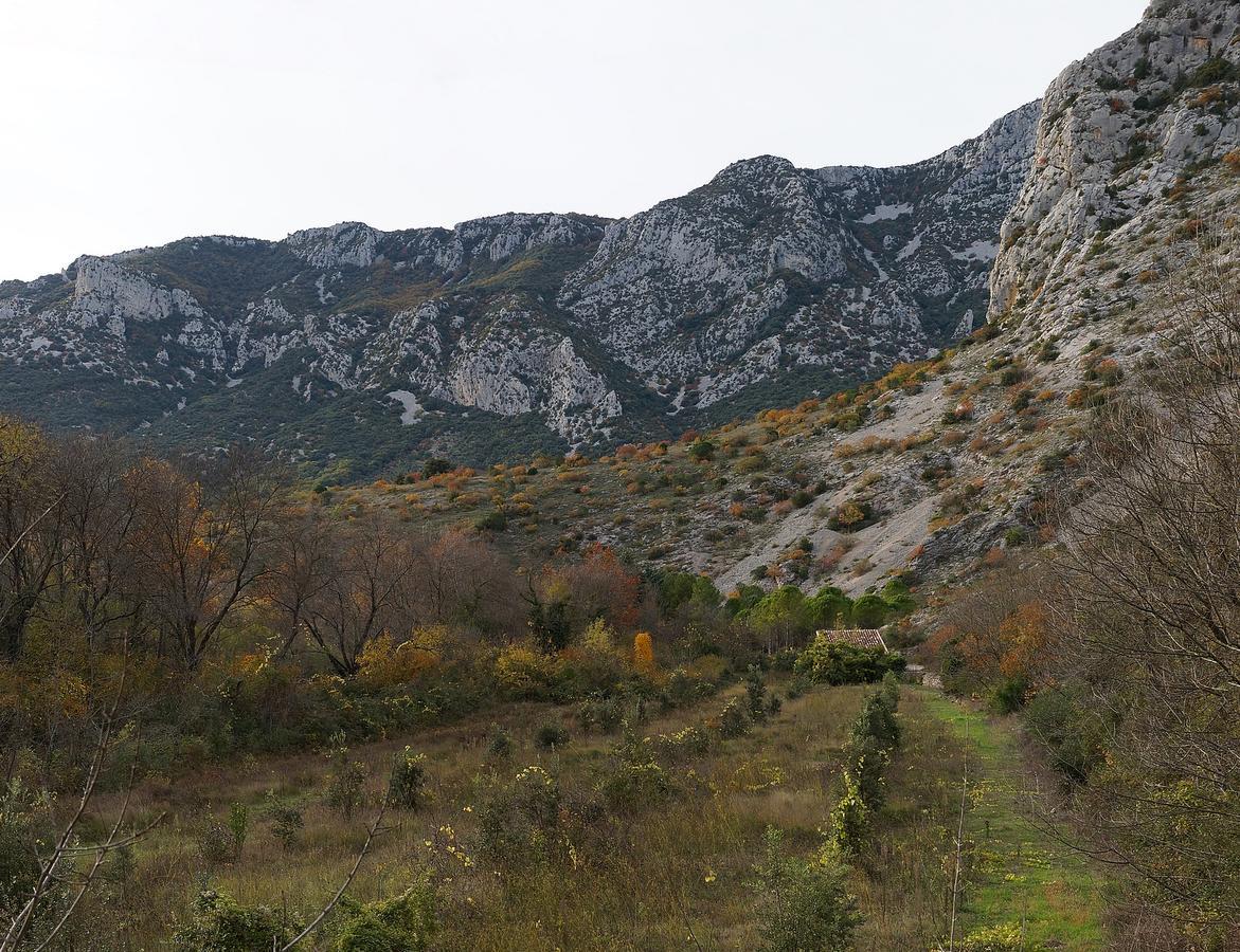 Les Hauts D'Issensac Causse-de-la-Selle Buitenkant foto